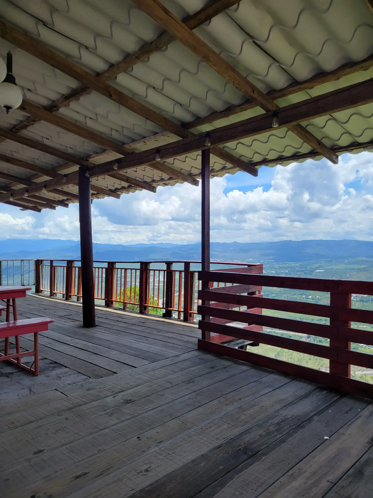 Bosque de pino en Zambrano